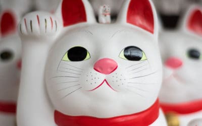 ¿Qué es una herramienta TAO (herramienta para la traducción)? ¿Y por qué es tan buena idea usarla para realizar sus traducciones?